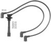 BERU ZEF921 Ignition Cable Kit
